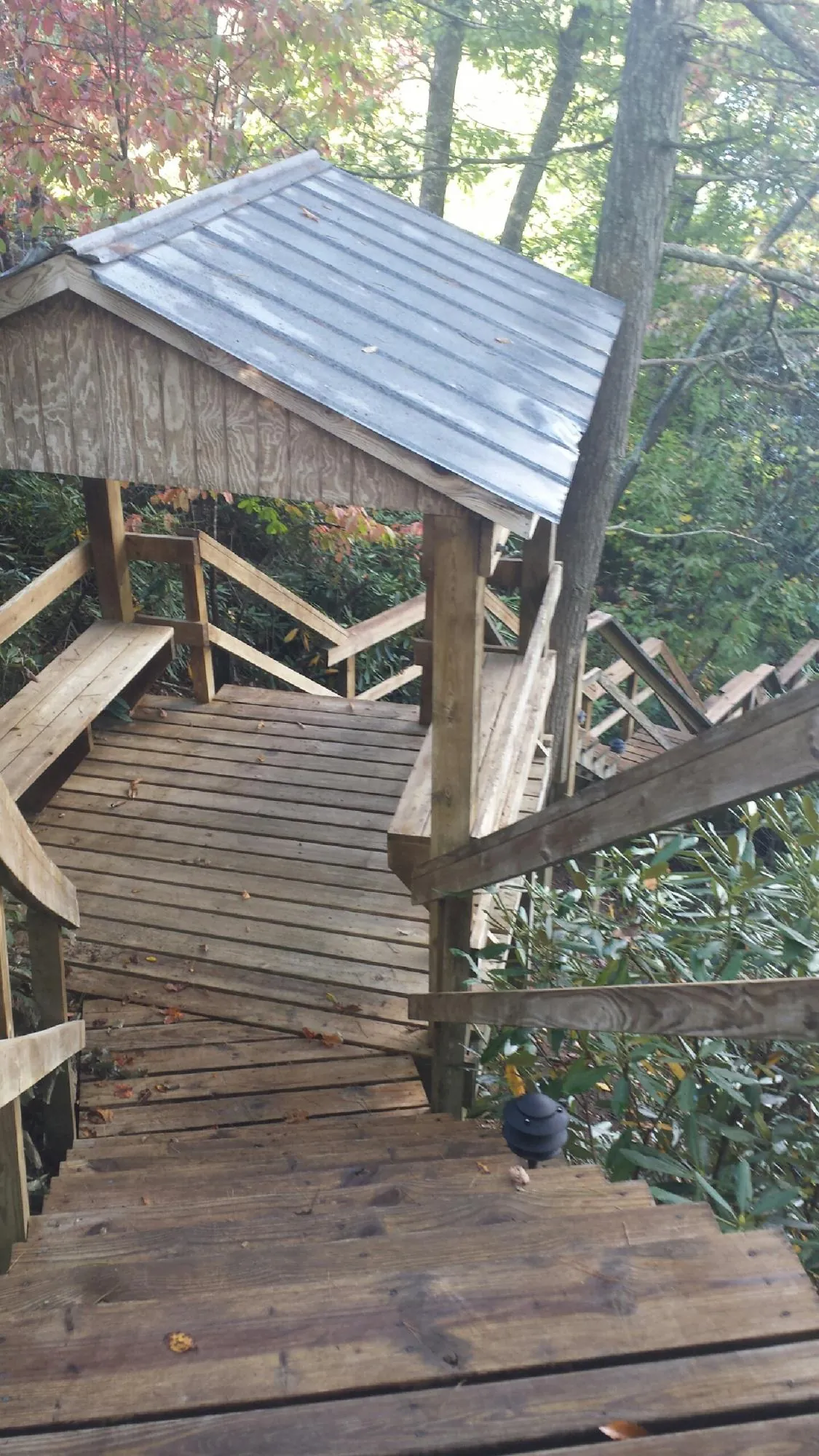 Metal roofed shelter over wooden steps on a wooded walkway — Skylight Repair & Installation work by our crew in Morriston